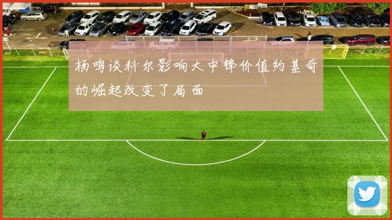 杨鸣谈科尔影响大中锋价值约基奇的崛起改变了局面