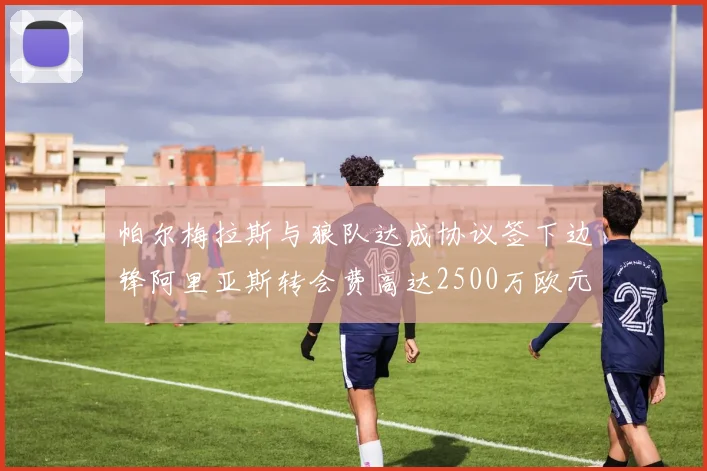 帕尔梅拉斯与狼队达成协议签下边锋阿里亚斯转会费高达2500万欧元